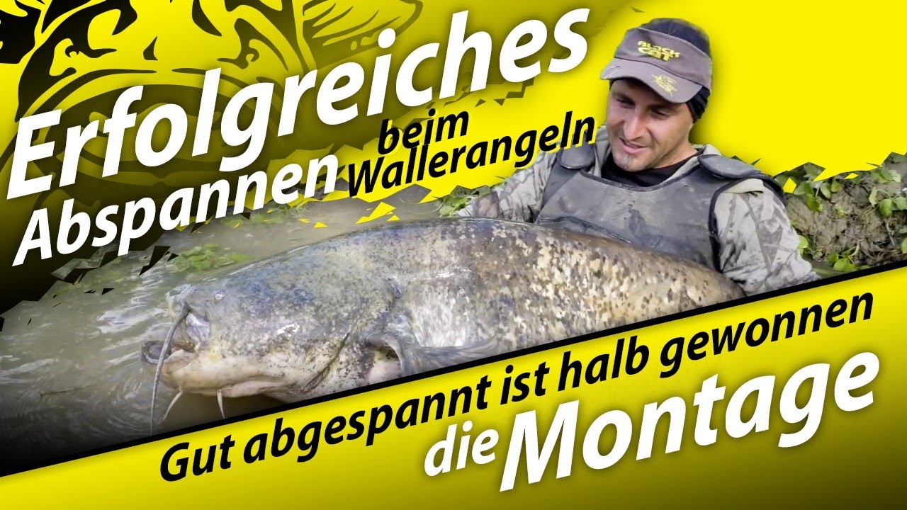 Wallerangeln Po - HOCHWASSER - Die Montage #wallerwelt2