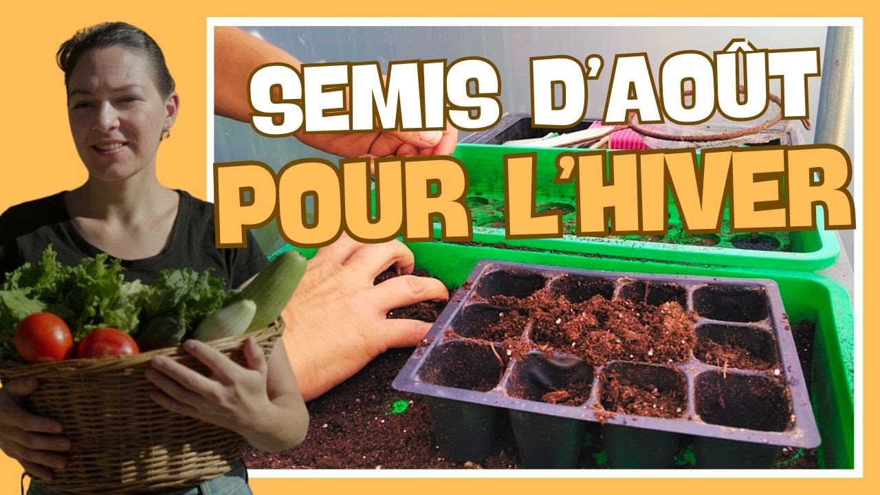 👩‍🌾 Semis d'août pour le potager d'automne/hiver