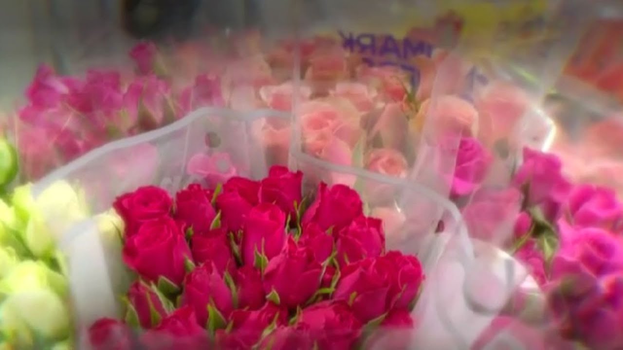 La floricultura, una industria que mueve la economía colombiana: así funciona