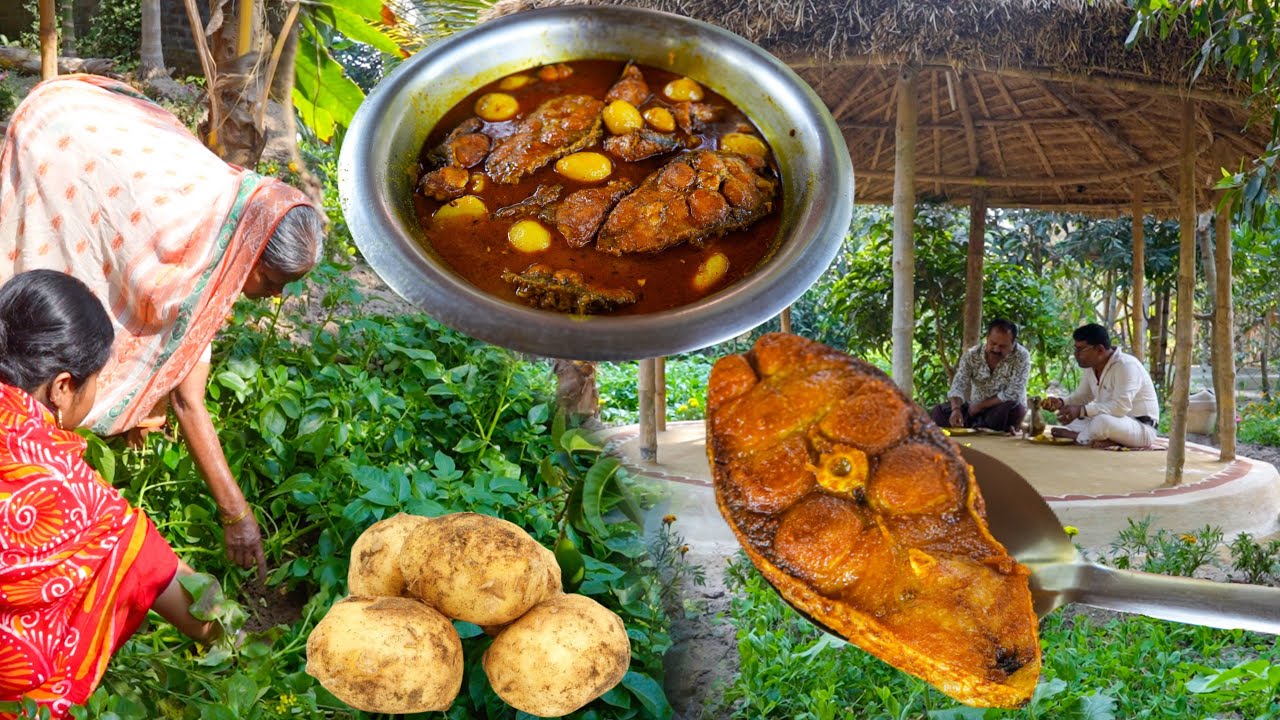 নতুন আলু দিয়ে 3.3 কেজী ওজনের সিলভার মাছ রান্না | Bengali Fish Curry |