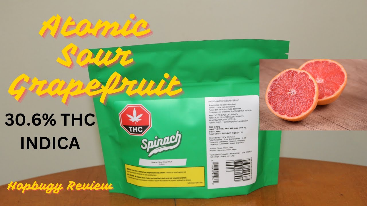 Atomic Sour Grapefruit by Spinach 30% THC Indica Pot Review