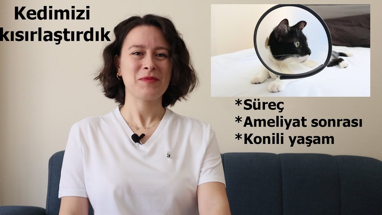 Kedi Kısırlaştırması Nasıl Geçti - Gece
