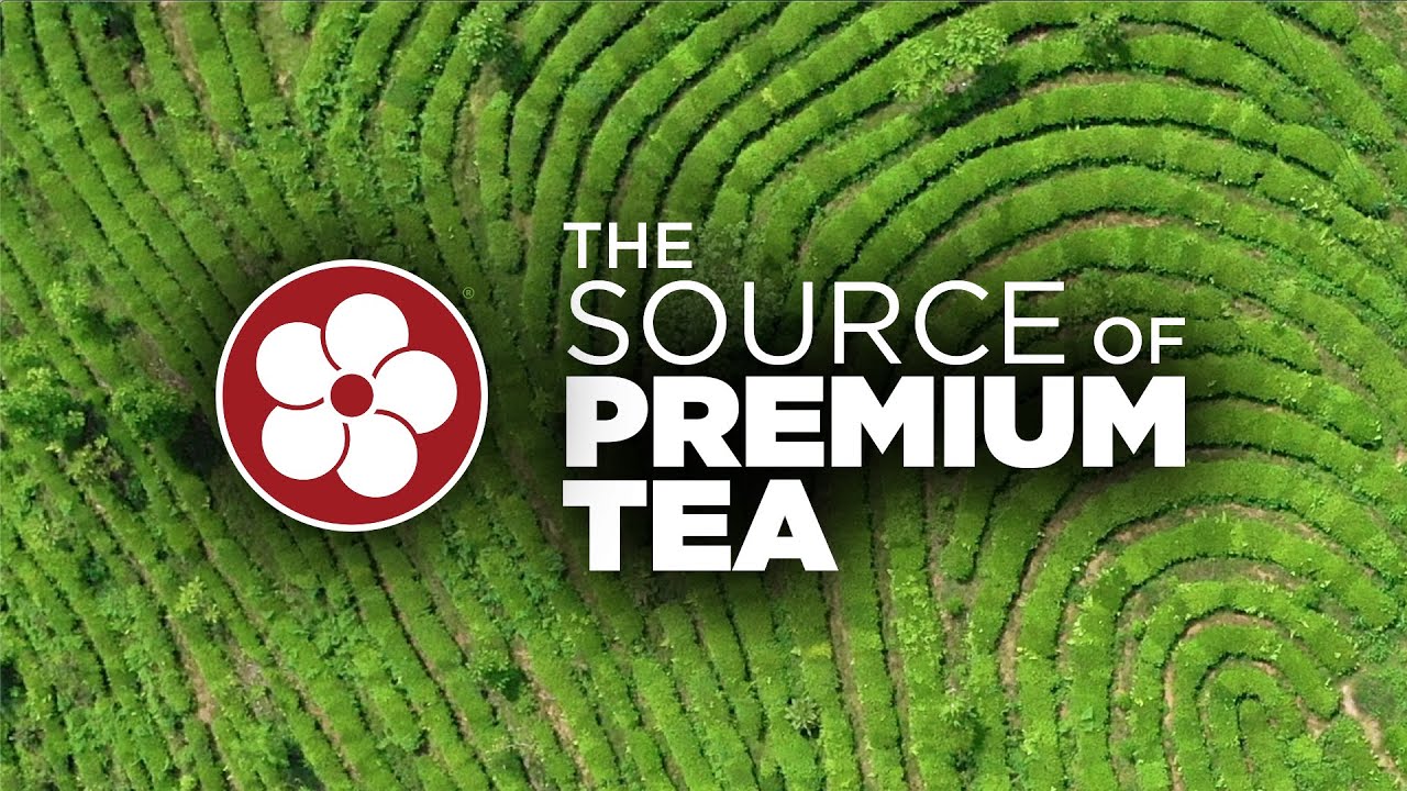 THE SOURCE of PREMIUM TEA