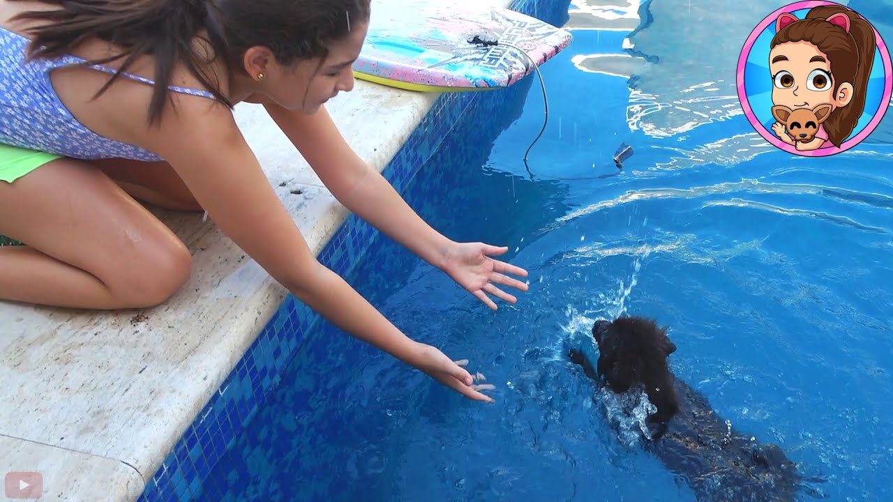 YESLY SALVA A SU MASCOTA PRADA QUE CAYÓ EN LA ALBERCA