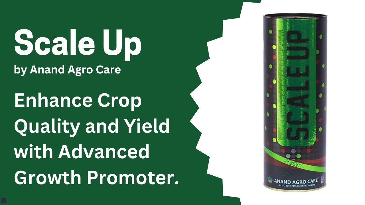 Scale Up by Anand Agro Care (Enhance Crop Quality and Yield with Advanced Growth Promoter)