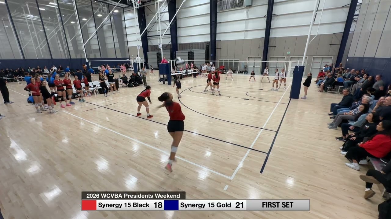 Synergy 15 Black vs Synergy 15 Gold