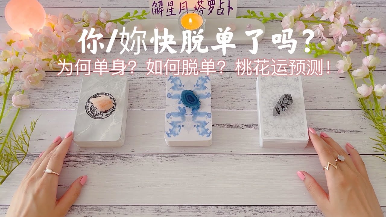 ⏰你快脱单了吗？为何单身？如何脱单？桃花运预测💃🕺疗愈解析，实话实说，塔罗占卜助你脱单成功！