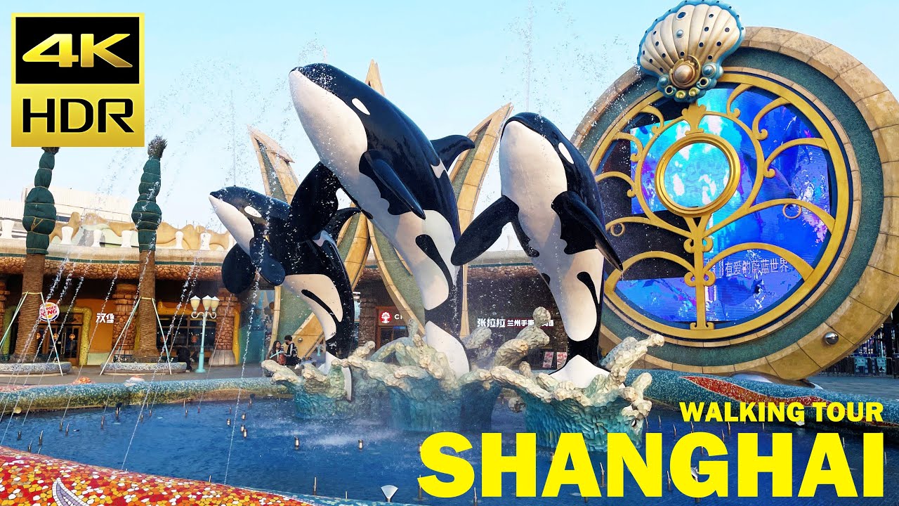 Amazing Ocean Park Tour | 3 Magnificent Shows Best Exhibits at Shanghai Haichang Ocean Park 上海海昌海洋公园