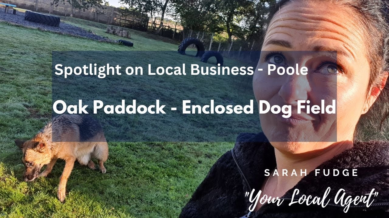 Oak Paddock - Enclosed Dog Field in Poole, Dorset