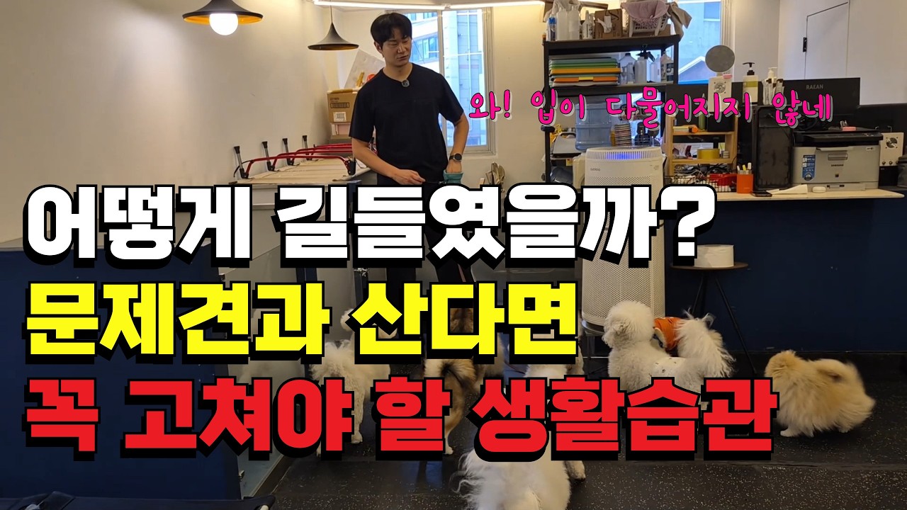 강아지에게 질질 끌려다니지 마세요! 12년차 전문가가 주도권을 찾아올 수 있는 실전 솔루션을 공개합니다.  | 반려식탁 | 애견행동교정 | 광주애견유치원 | 그사람인터뷰
