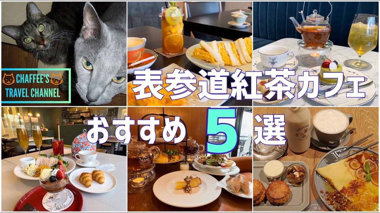 【表参道紅茶カフェ】おすすめ5選 Omotesando Tea Cafe 紅茶専門店　Tokyo Japan / CHAFFEE’S TRAVEL CHANNEL