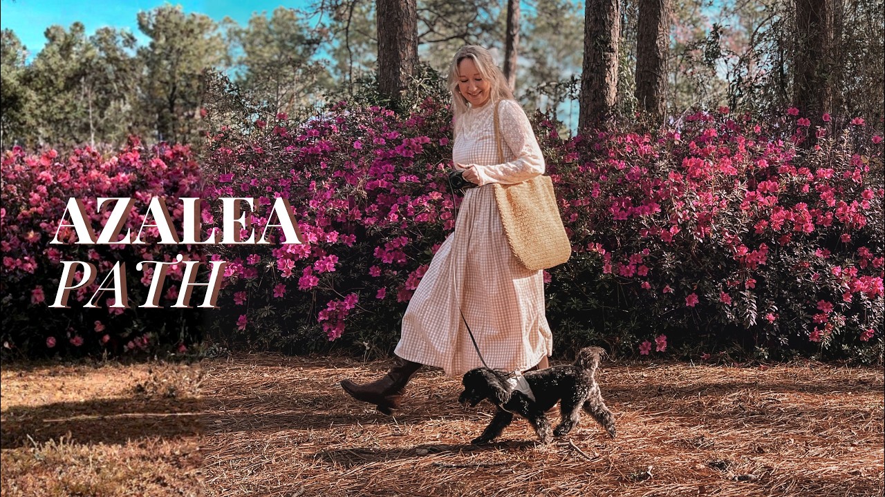 Where My Paths Lead Me | Walking Through the Azaleas