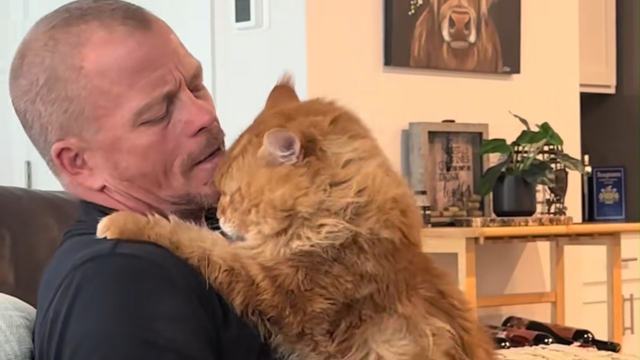Alle lachten, als der harte Kerl eine Katze adoptierte&hellip; bis das passierte