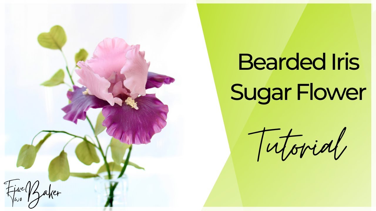 Sugar Flower Bearded Iris Tutorial ⎸ CakeTopper Flowers! ⎸ How to make Cake Flowers