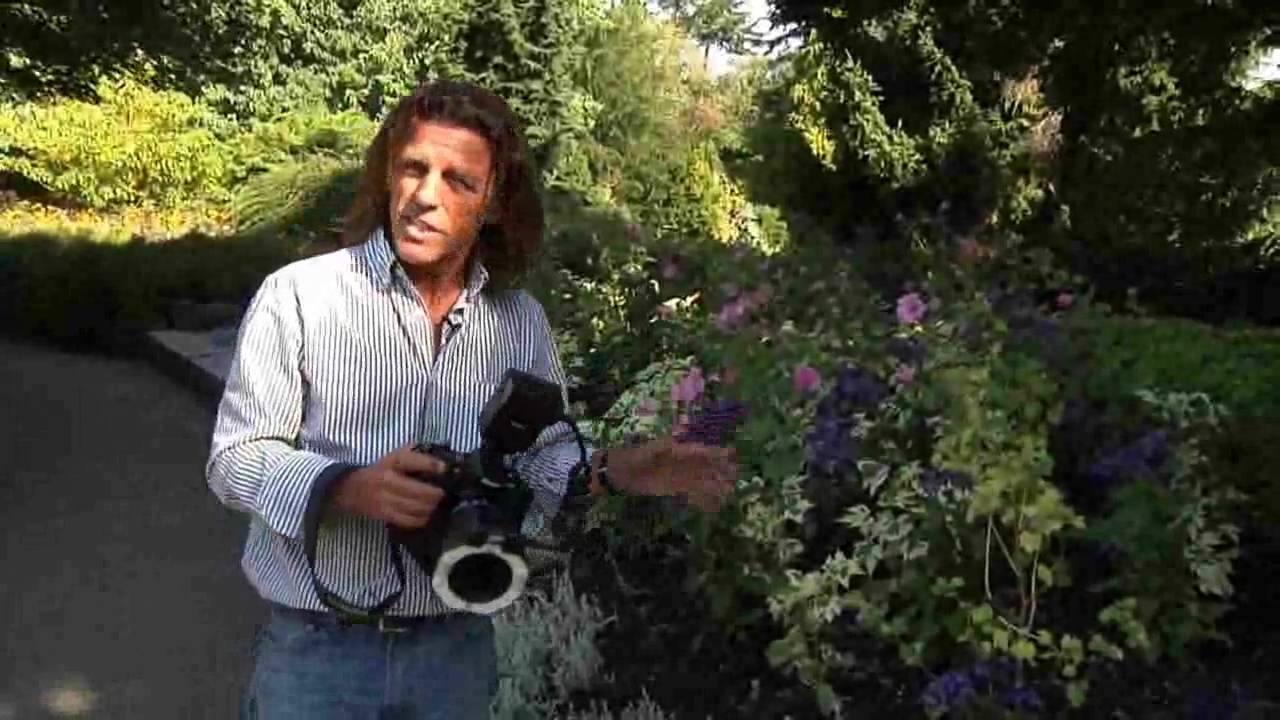 Close-up Photography with Ring Flash