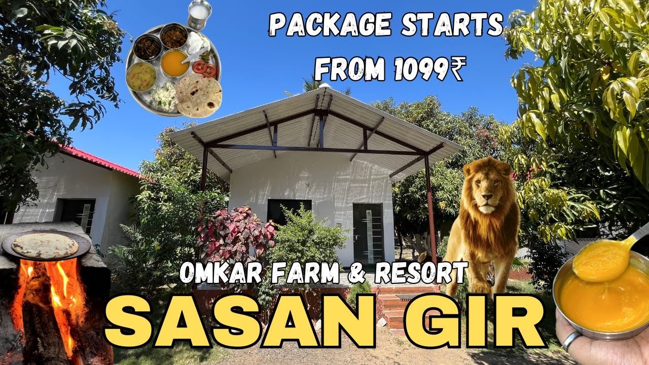 Best Resort in SASAN GIR 😍 Package Starts from Just 1099₹ 😱 Omkar Farm & Resort #sasangir #nature