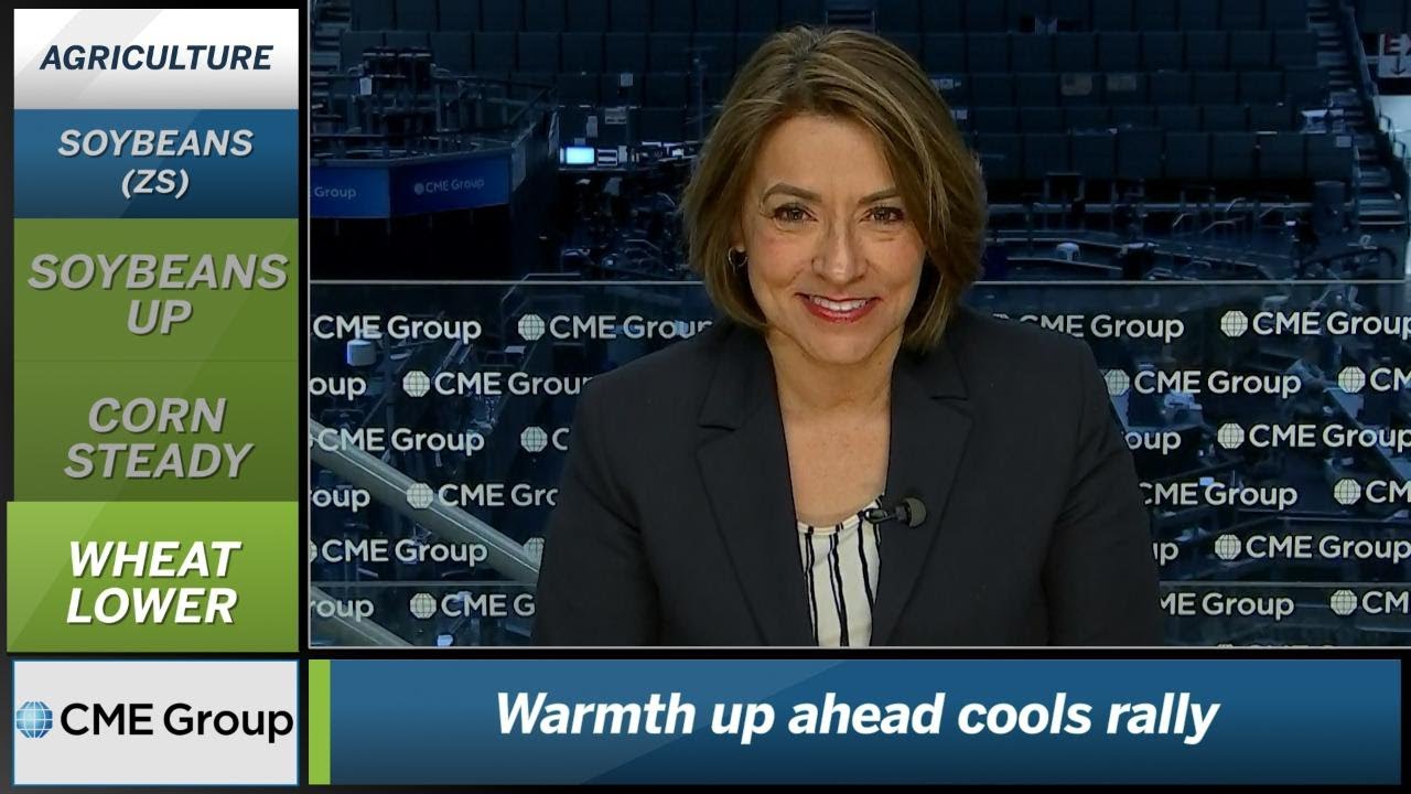 January 5 Grains Commentary: Virginia McGathey