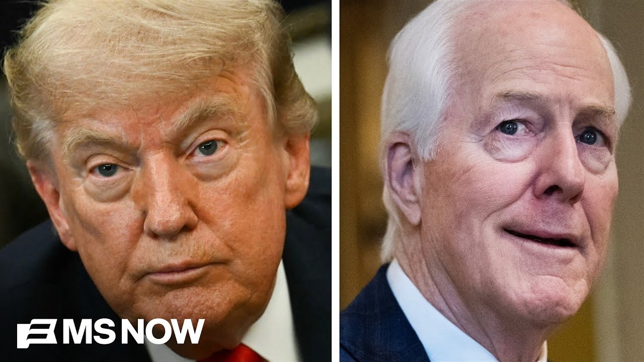 Trump will have &lsquo;MISERABLE&rsquo; two years after midterms &lsquo;DISASTER&rsquo;: Sen. Cornyn