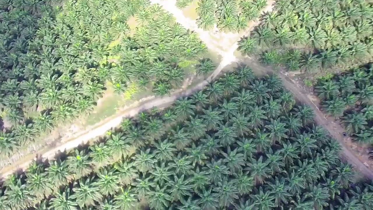 Pemeriksaan Kondisi Blok dengan Drone