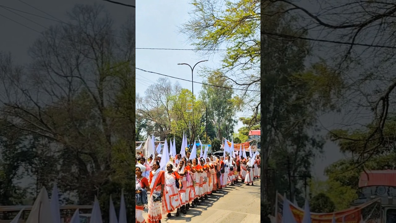 Sarhul Ambikapur 2025 || Sarhul In Ambikapur || Sarhul Rally Ambikapur 2025#sarhulsong#sarhul2025