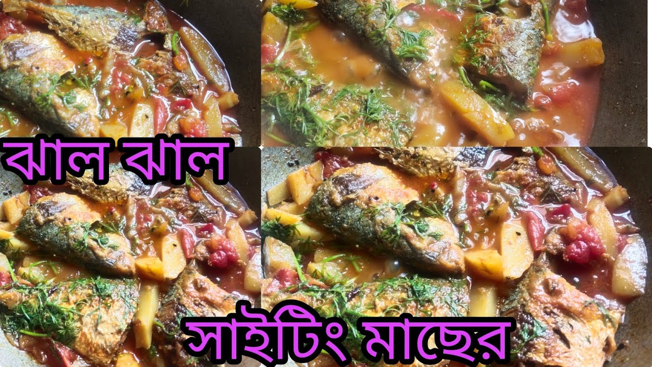ঝাল ঝাল সাইটিং মাছের রেসিপি