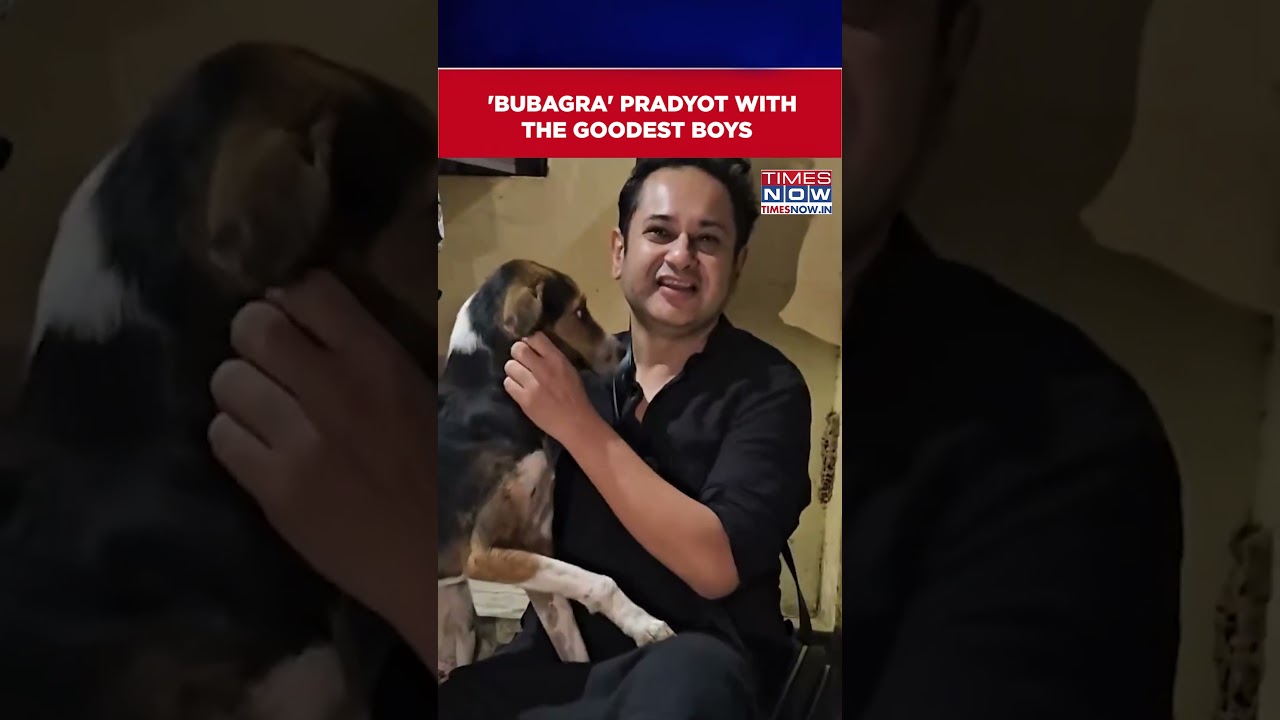 Tripura's Pradyot Shares Cute Video With Dogs: TIPRA's 'Bubagra' Sends Cutting Message | #shorts