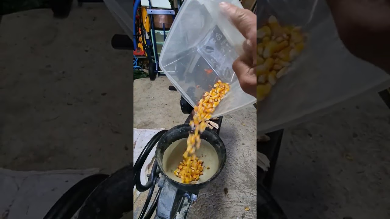 Secret pour des œufs à volonté!
