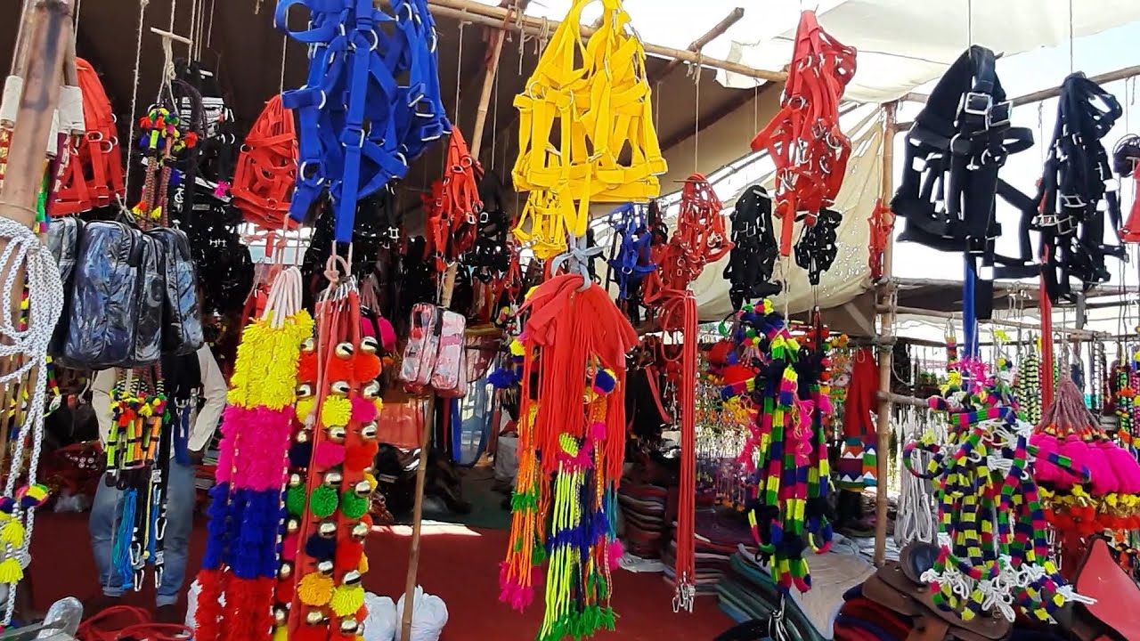 घोड़े के सामान की दुकान