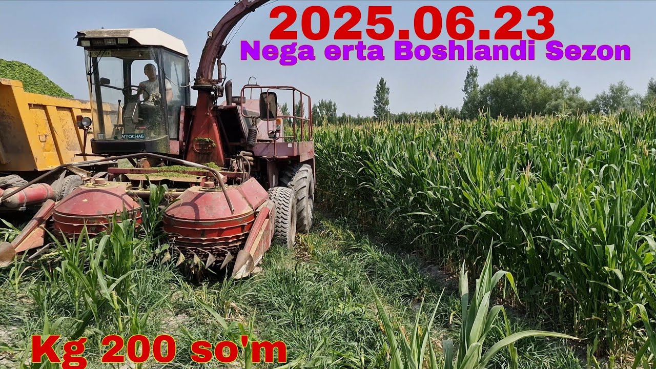 Kg 200 So'mdan Shu Silyos Arziydim Xaqni Aldashmoqda Noisoflar