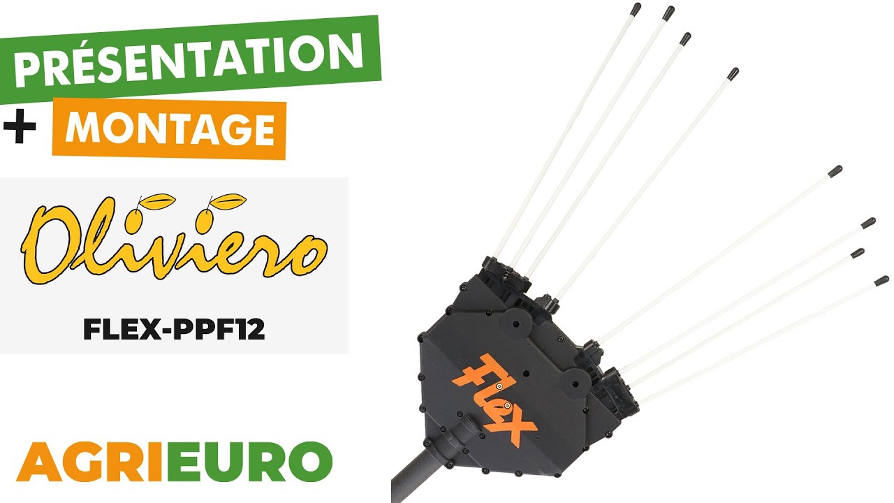 Oliviero Flex-PPF12 Premium - Peigne vibreur électrique à batterie - Présentation et montage