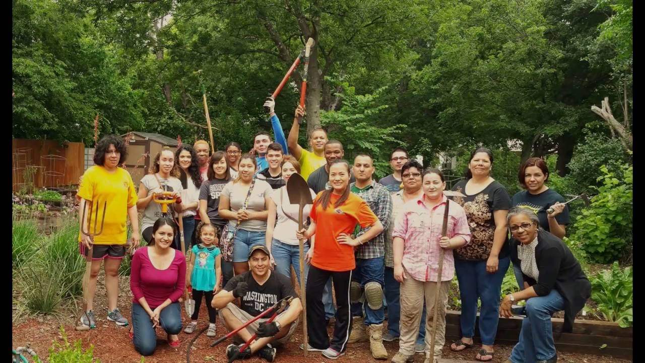 Community Gardens