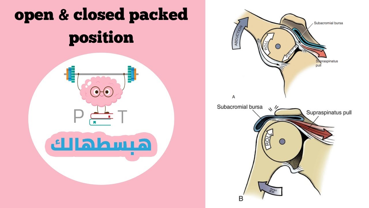 open & closed packed position