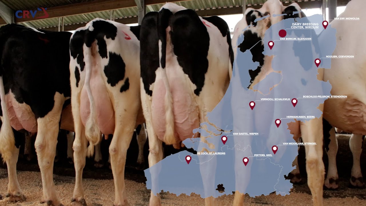 CRV test farms