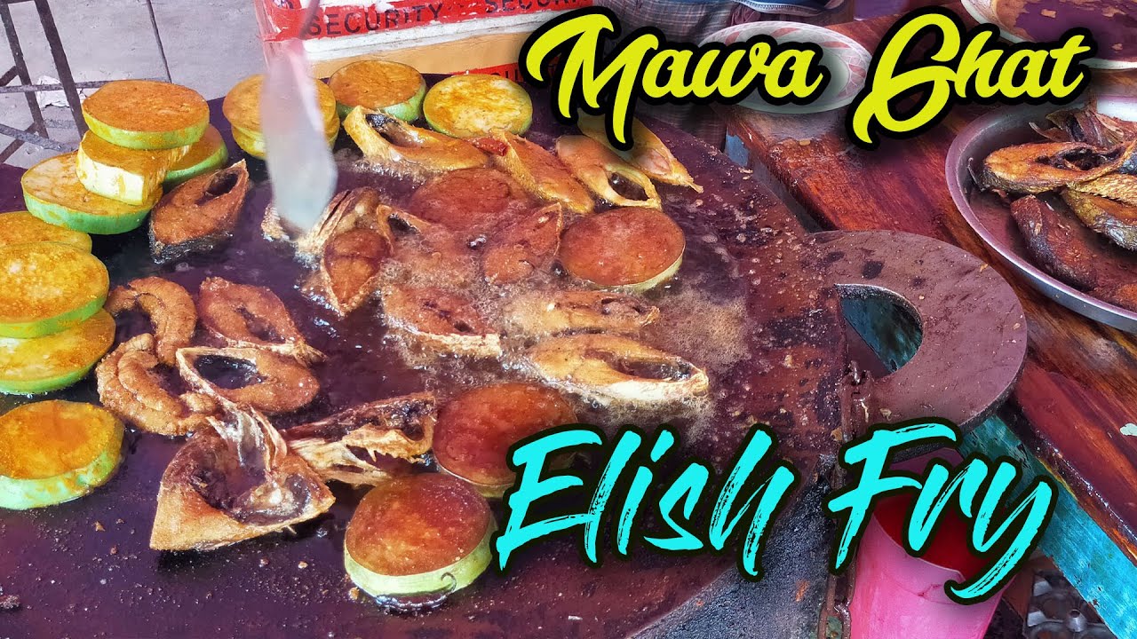 Elish Fish Mawa Ferry Ghat | |পদ্মার সুস্বাদু ইলিশ