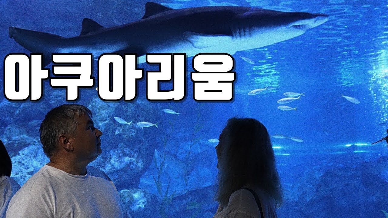 국제커플 | 장모님 장인어른과 함께 간 봉은사 | 코엑스 아쿠아리움에 간 가족들 | 한국의 아름다움을 느낄 수 있는 절 |