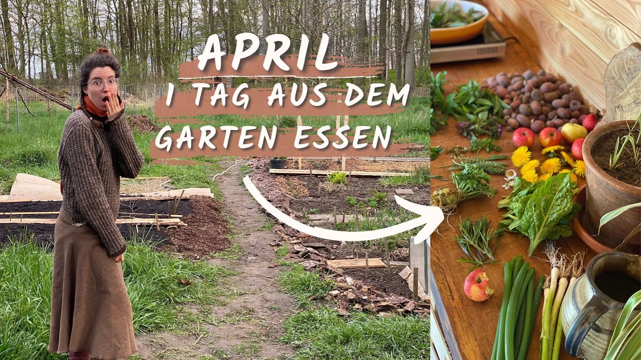 Selbstversorger TEST 🧐 24 h im April aus dem Garten essen. Werde ich's überleben?