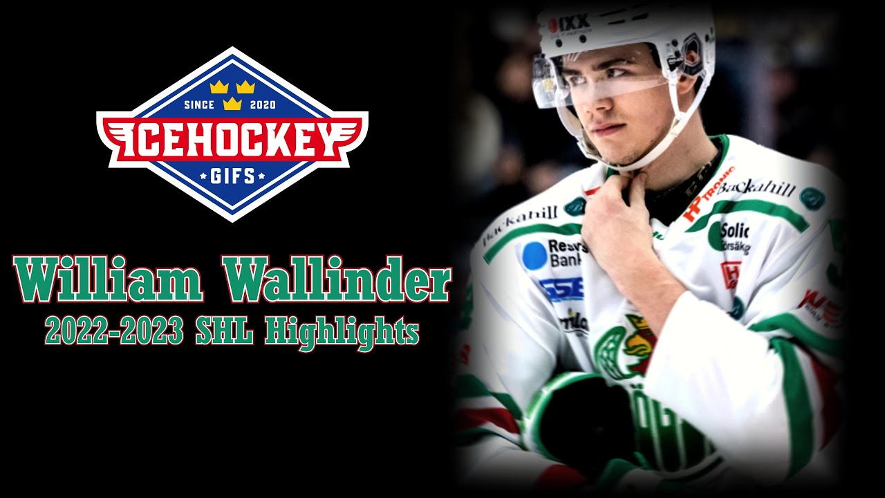William Wallinder - 2022/2023 SHL Highlights