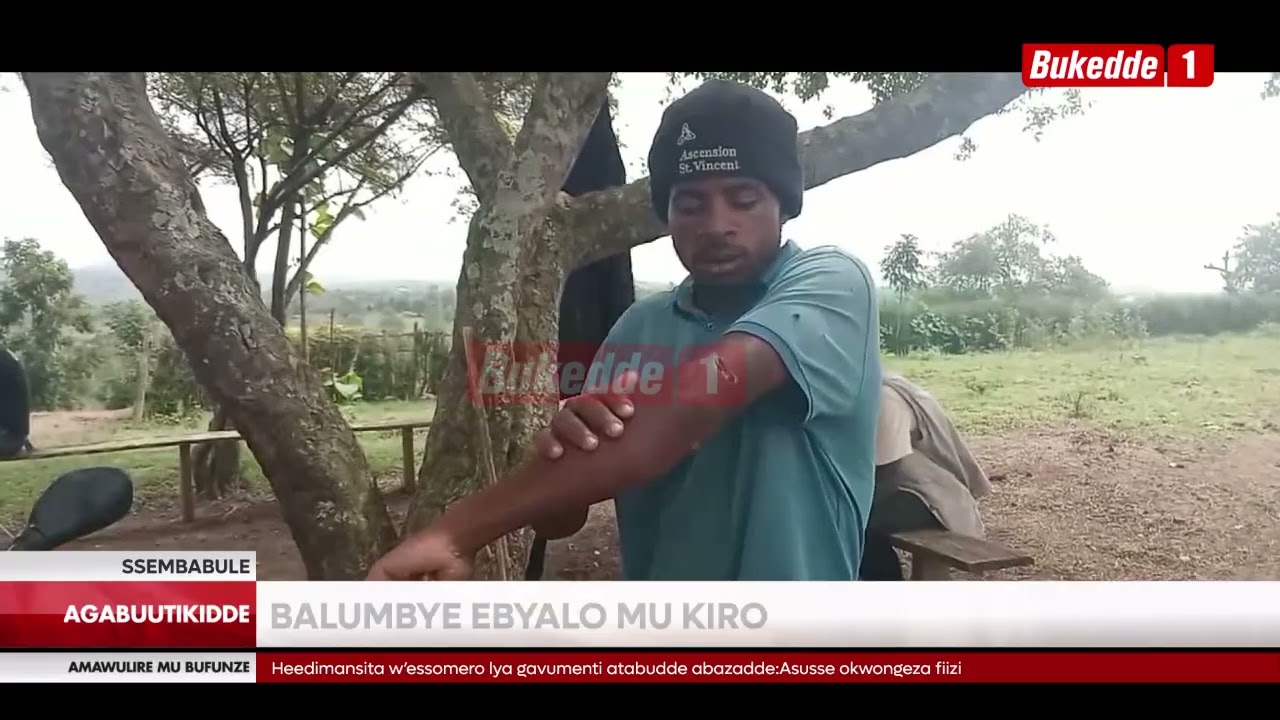 Agabuutikidde Ab'emiggo n'ebijambiya balumbye Abantu mukiro balese bonoonye ebintu bya batuuze
