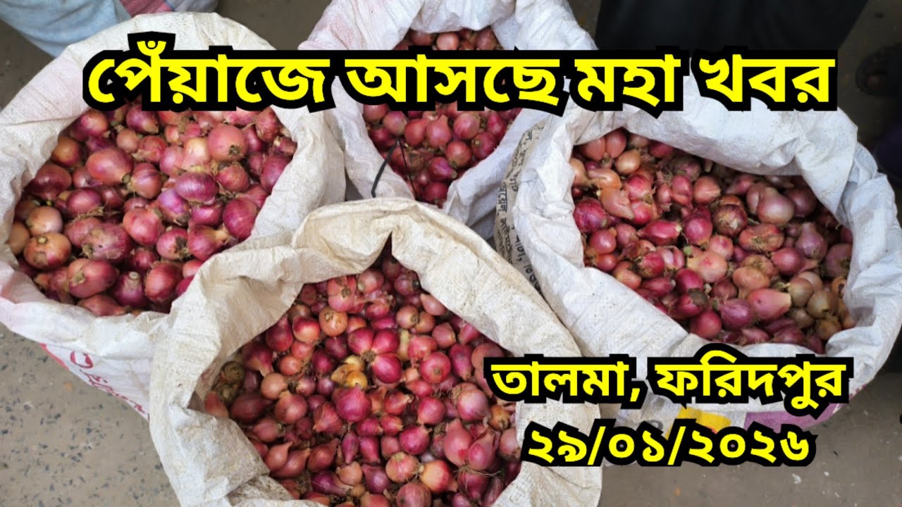 29.01.2026 পেঁয়া‌জে আস‌ছে মহা খবর | Bangladesh onion price today | Faridpur