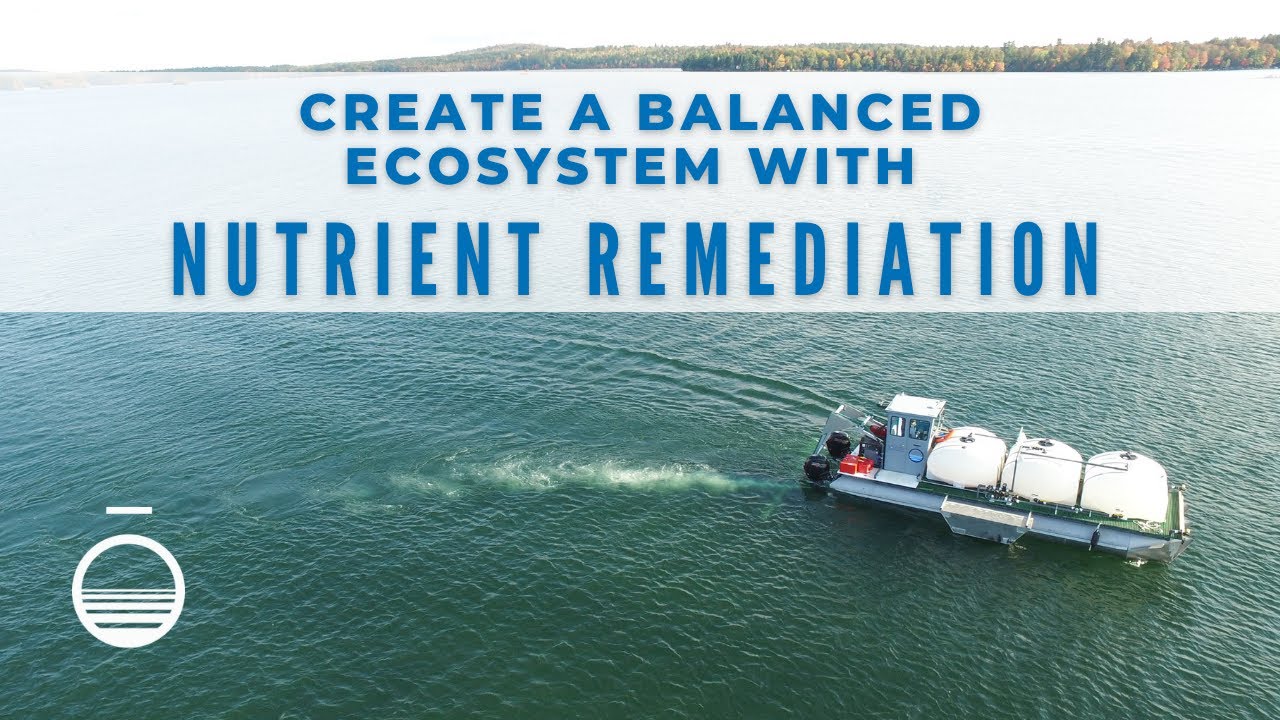 How Nutrient Remediation Helps Improve Pond Water Quality