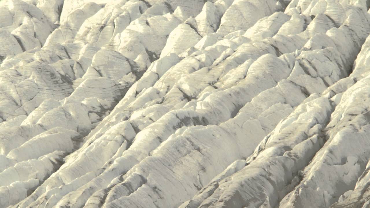 Wildlife Report: Alpine Choughs at the Aletsch Glacier