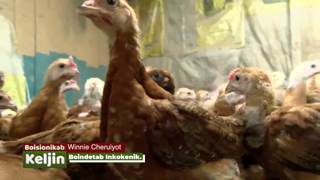 BOISIONIKAP KELJIN -WINNIE CHERUIYOT