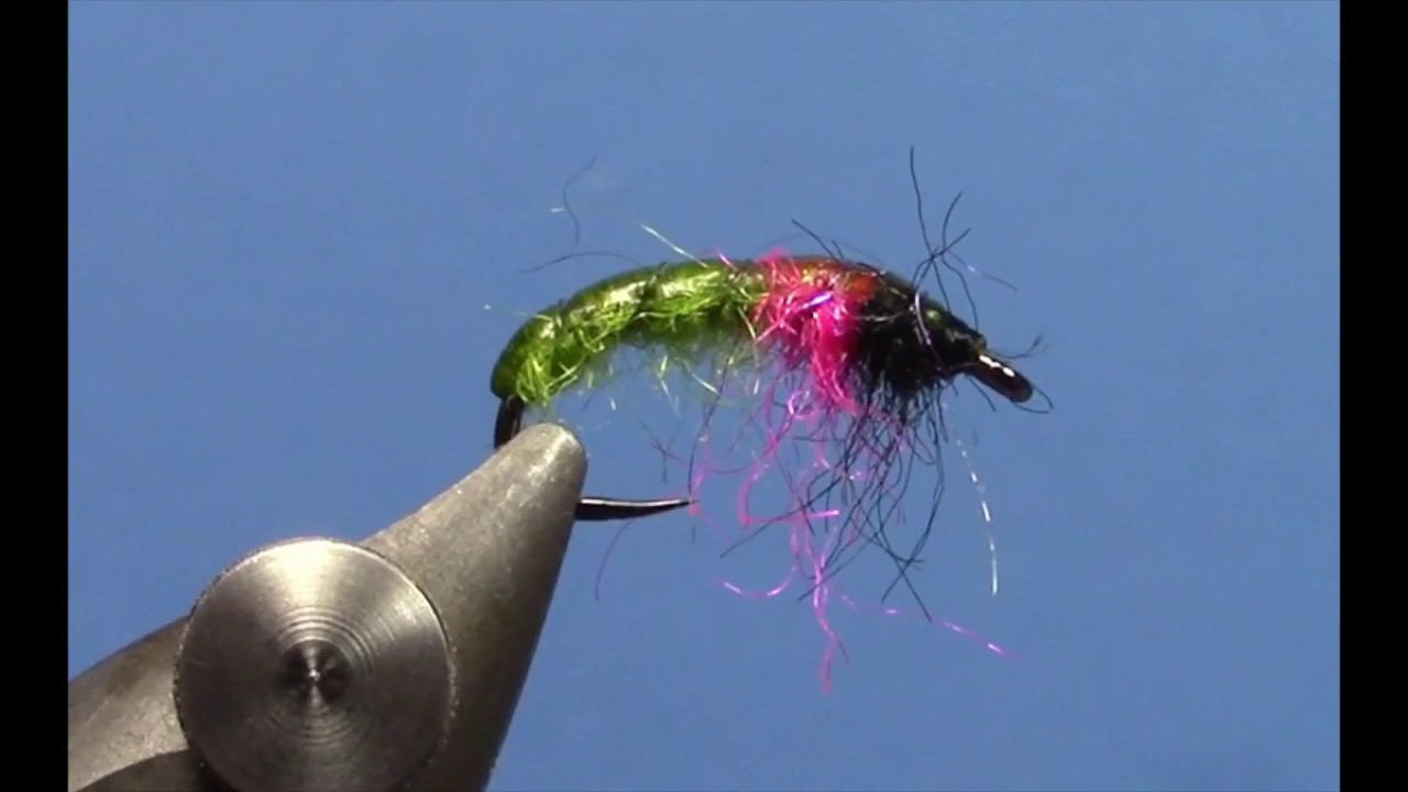 Fly Tying with Ryan - Caddis Czech Nymph