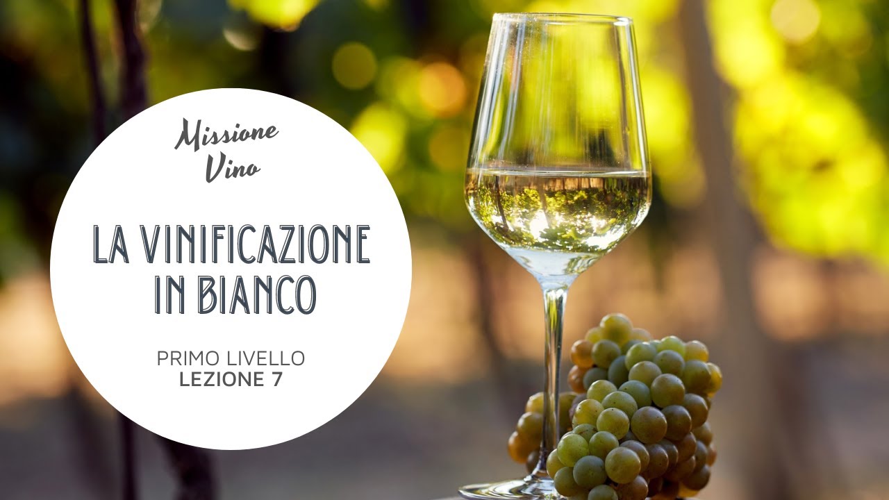 Lezione 7: Come si fa il vino bianco - La vinificazione in bianco e i vini orange