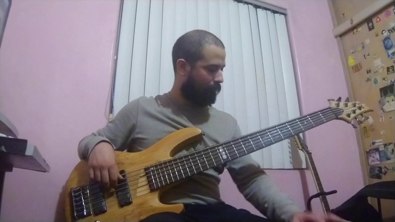 Bonito - Jarabe de Palo (cover bajo)