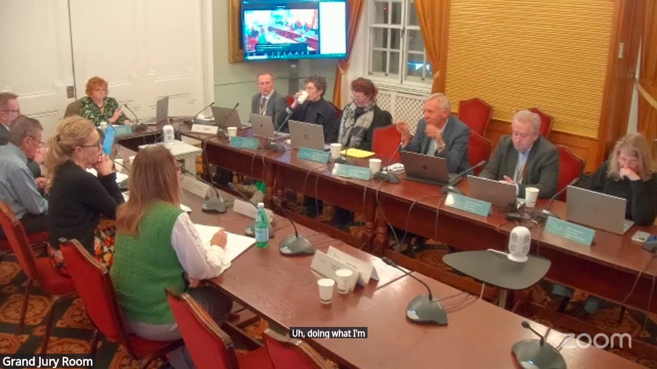 Governance and Audit Committee - 18 November 2025