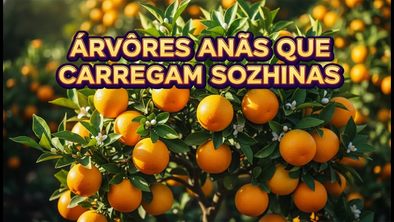 Frutíferas que Dão Fruto Rápido: 7 Árvores Compactas Para Vaso e Quintal Pequeno (Mais Produção...
