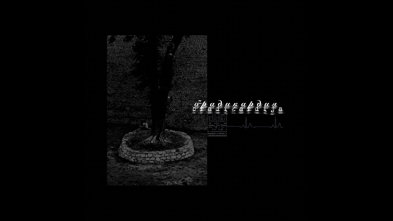 брадикардия - S/T EP (2024)