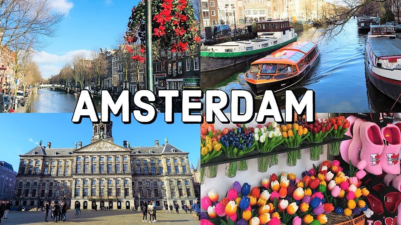 AMSTERDAM City Tour / The Netherlands