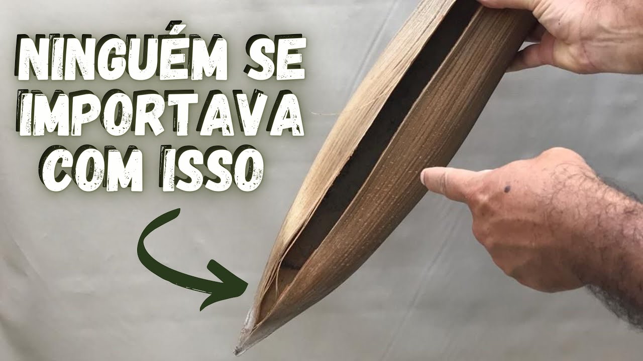 A IDÉIA MAIS LINDA QUE JÁ VI PARA ORQUÍDEAS-COMO PLANTAR ORQUÍDEA - ARTESANATOS EM GERAL-ORQUIDEAS.